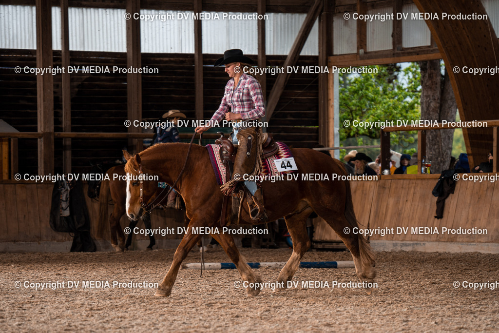 Heidelberg Tag 2-557 | dv-media-shop - Realisiert mit Pictrs.com