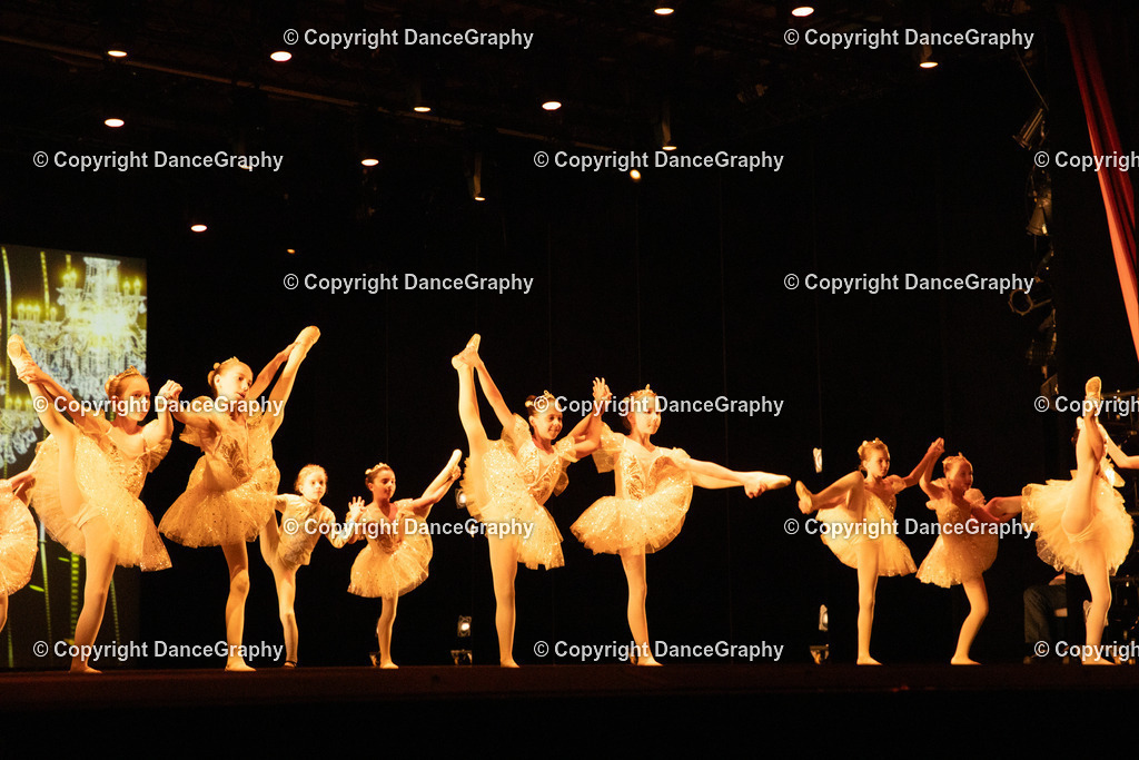 GPHY4558 | DanceGraphy - Realisiert mit Pictrs.com