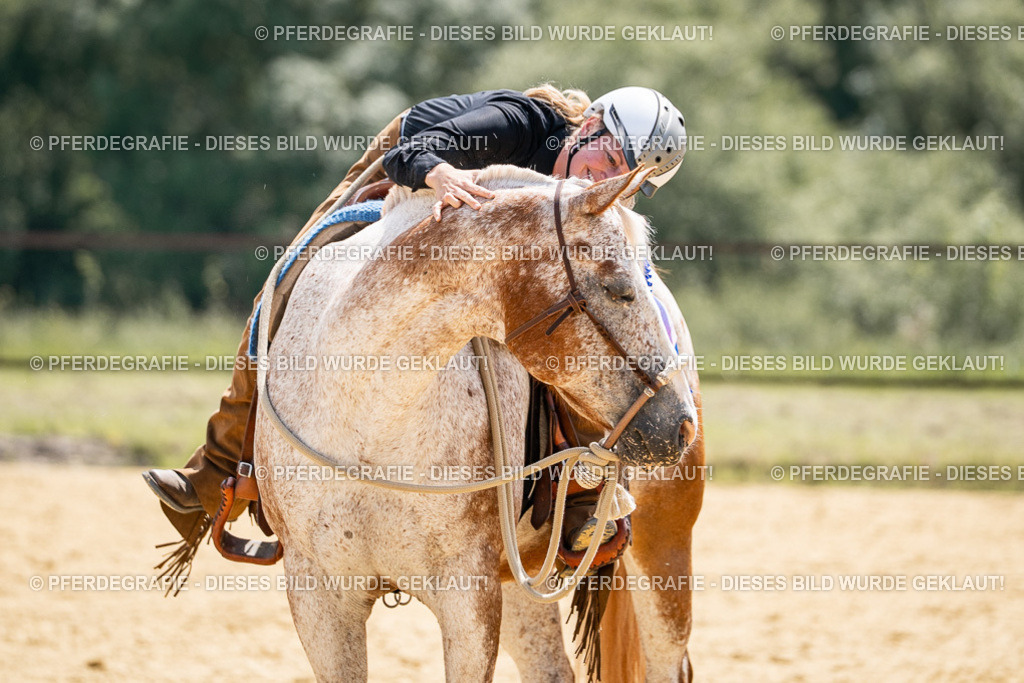 DSC00894 | Pferdegrafie