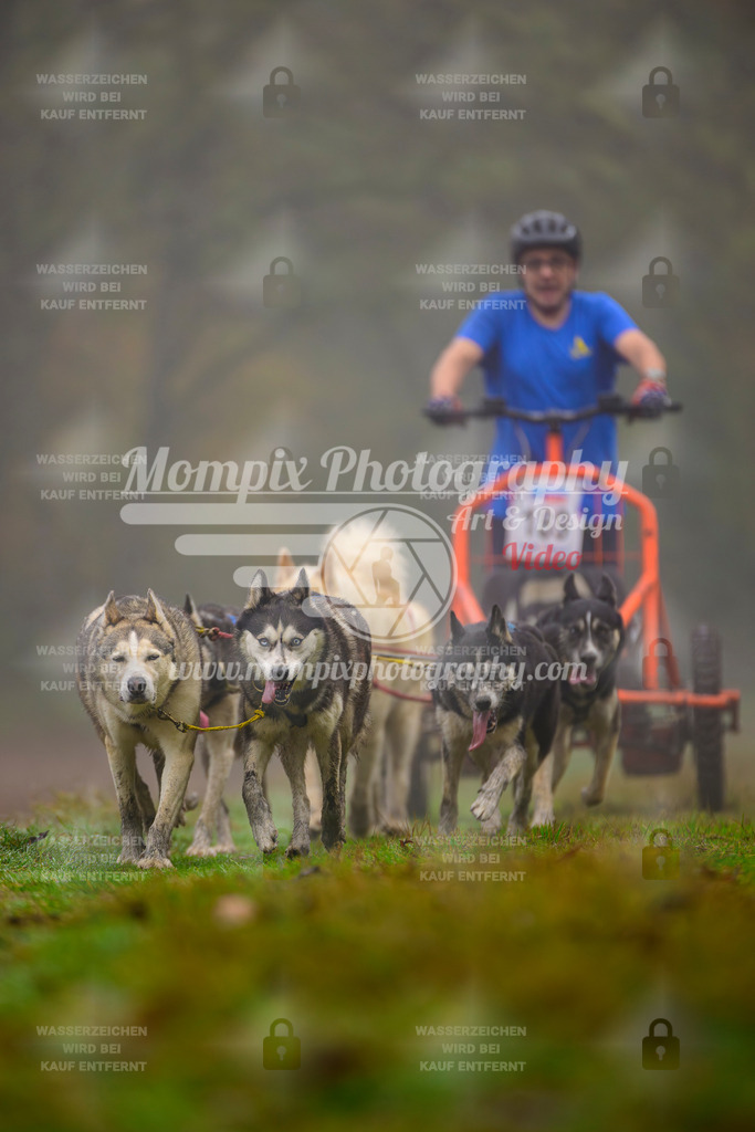 MompixPhotography_Bischwiller2025_Kart-41 | mompixphotography