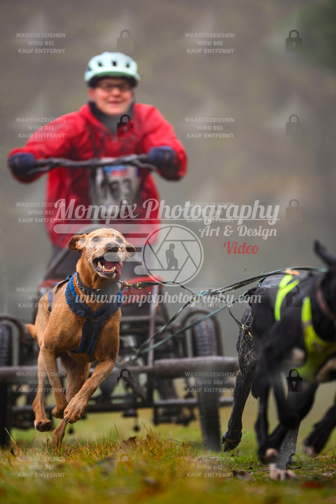 MompixPhotography_Bischwiller2025_Kart-18 | mompixphotography