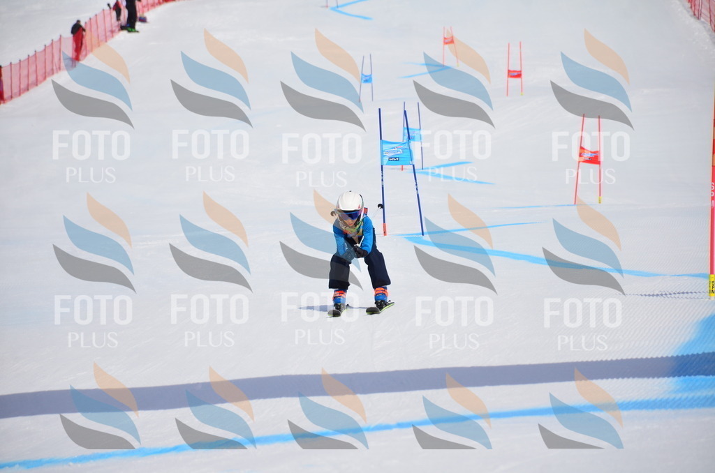 VR4_6684 | holidayphoto