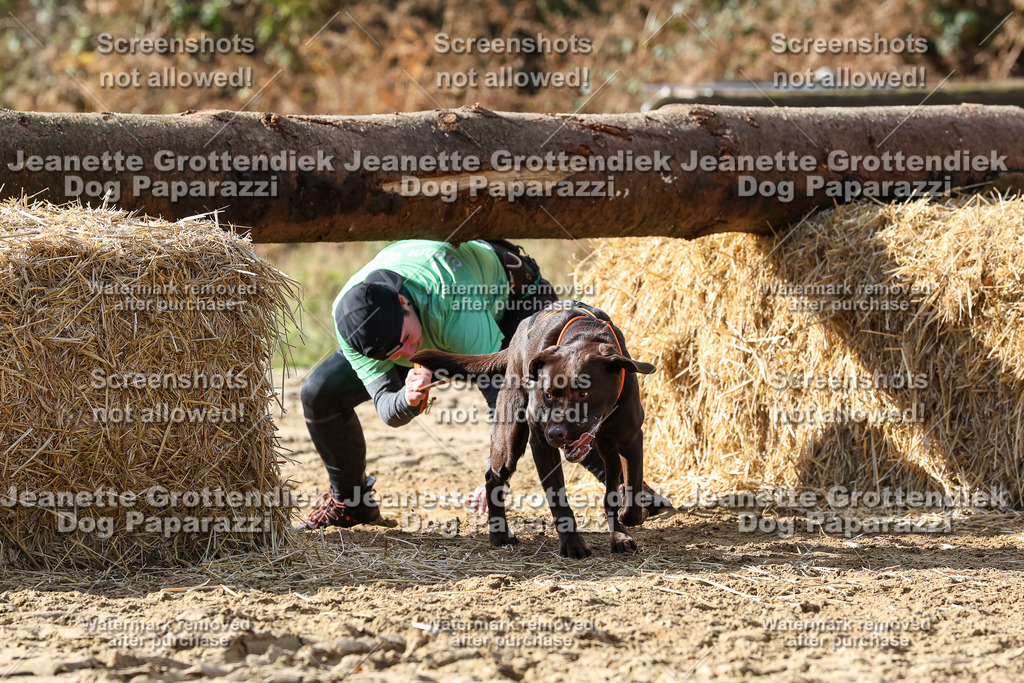 Dog Paparazzi - Strongdog 10-25-5232 | Dog Paparazzi Jeanette Grottendiek Fotografie & Videografie - Realisiert mit Pictrs.com