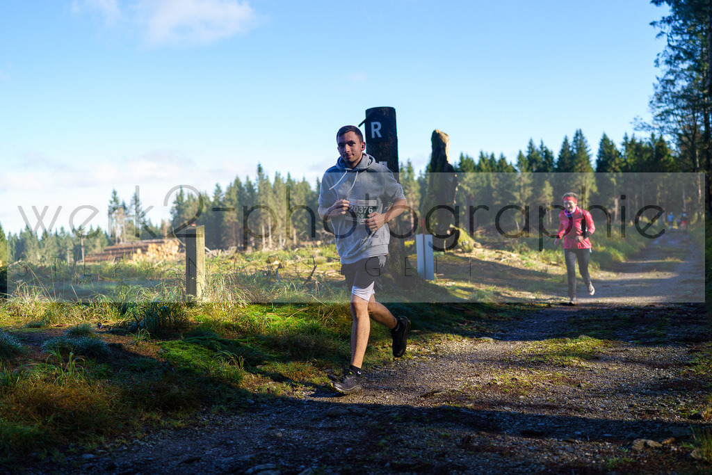 Herbstlauf 2024 | Rennsteig-Herbstlauf von Neuhaus am Rennweg nach Masserberg am 6. Oktober 2024