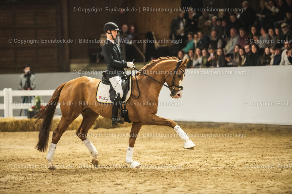 20240302_Hengstvorstellung_Marbach_TOMsPiC_0583-2 | equistock
