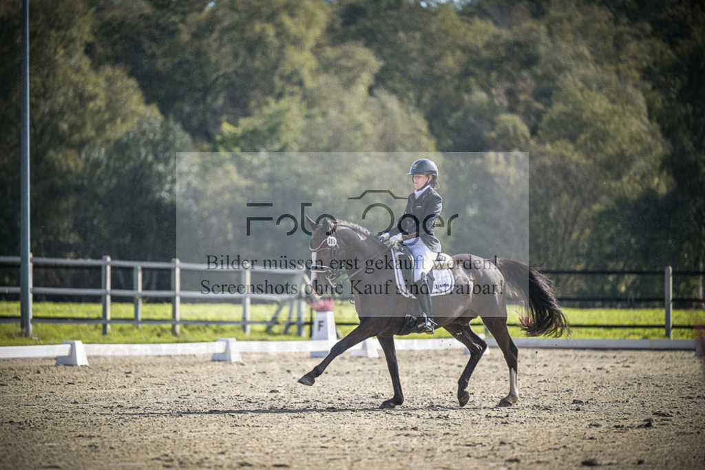DOS_0701 | Entdecke hochwertige Reitturnierfotos von Foto Oger. Professionell, emotional und authentisch – jetzt Lieblingsmomente im Shop bestellen.Deutschlandweite Turnierfotografie. - Realisiert mit Pictrs.com