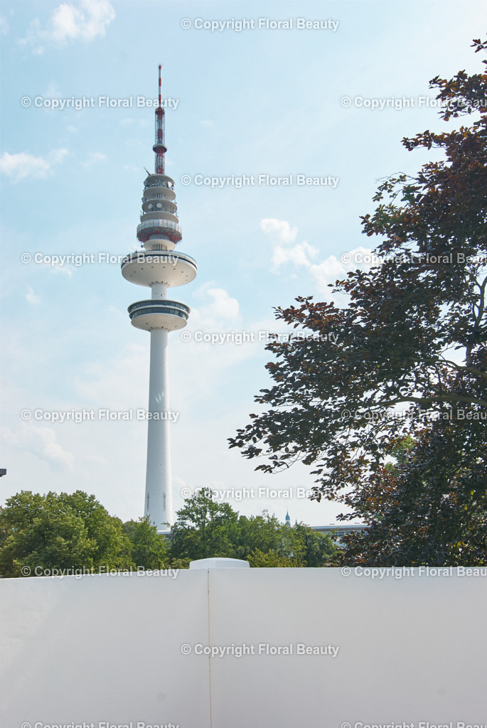 Altbauhaus nach Renovierung | Blick auf Fernsehturm Hamburg, Heinrich Herz Turm - Realisiert mit Pictrs.com