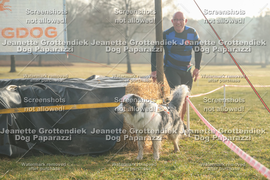 Dog Paparazzi - SD North Sa 830-900-45 | Dog Paparazzi Jeanette Grottendiek Fotografie & Videografie - Realisiert mit Pictrs.com
