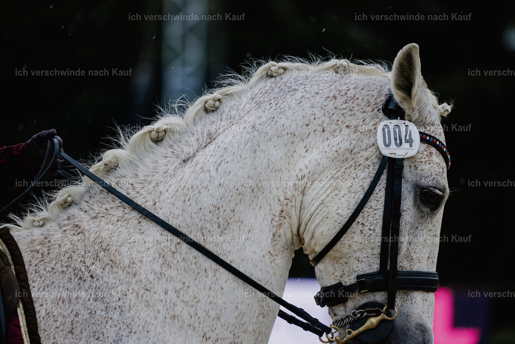 Kelly4_FHC2025-24791 | working equitationturnier fotograf videograf stoibphotography marixx film working equitation deutschland reitsport turnierfotografie eventfotografie equestrian events
