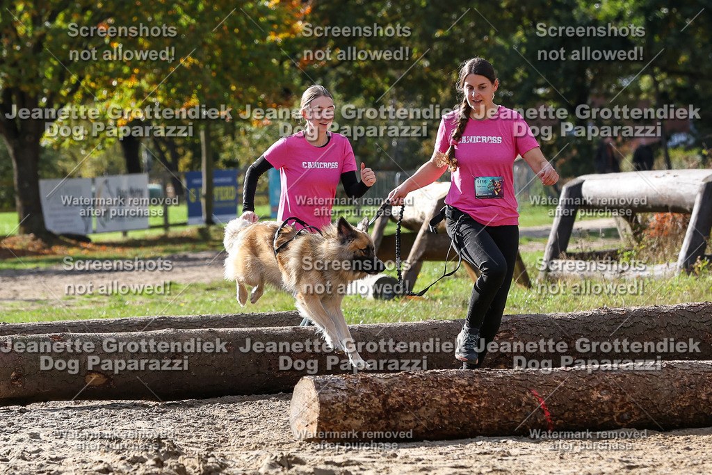 Dog Paparazzi - Strongdog 10-25-5802 | Dog Paparazzi Jeanette Grottendiek Fotografie & Videografie - Realisiert mit Pictrs.com
