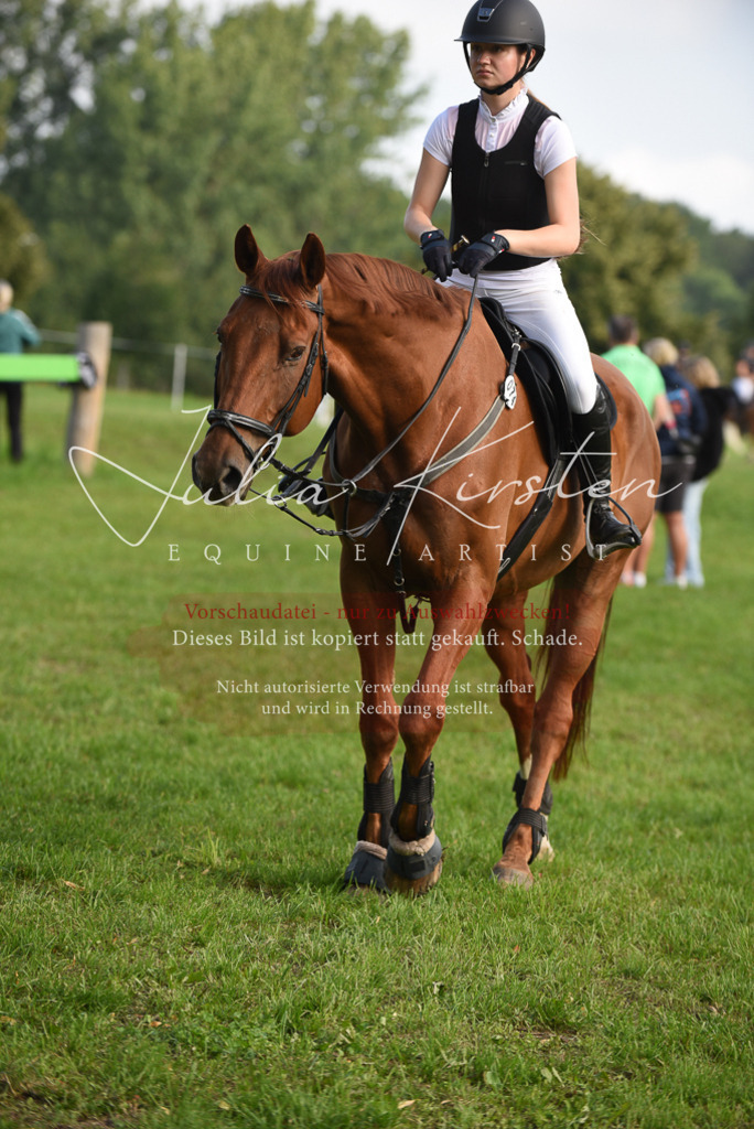 DSC_8550 | Pferde- und Turnierfotografie in Westsachsen. Pferdeportraits, Auftragszeichnungen und intuitive Kunst.