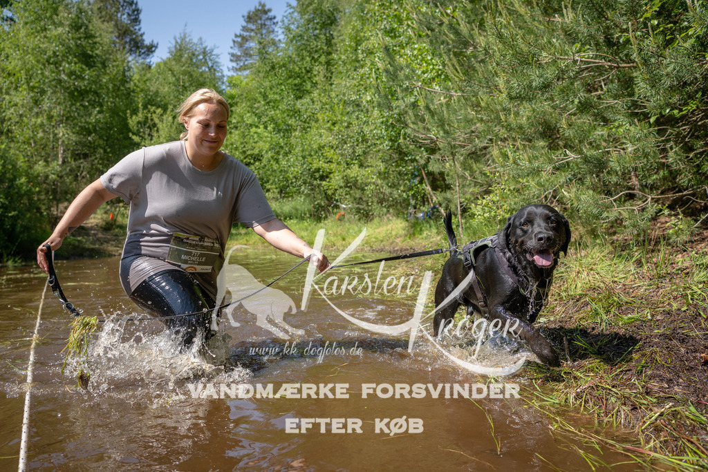 1511DKK992498 | kk-dogfotos
