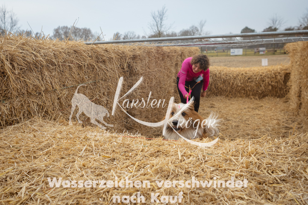 1000_ZZ91693 | kk-dogfotos