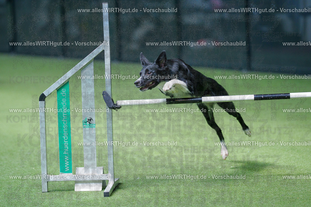 @allesWIRTHgut_Tierfotografie - www.allesWIRTHgut.de - 2604251351-7R504130 | Professionelle Tierfotografie in Mönchengladbach von Daniel Wirth (allesWIRTHgut). Liebevolle & natürliche Bilder von Hunden & Katzen für unvergessliche Erinnerungen.