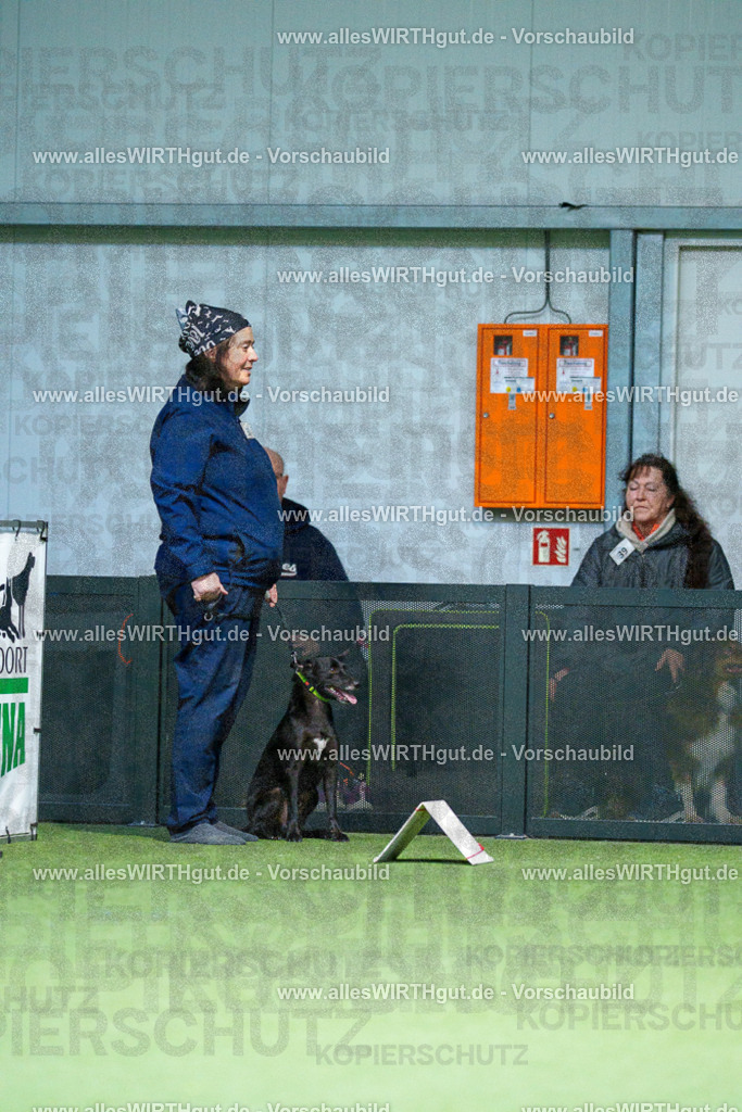 7R505961 | Professionelle Tierfotografie in Mönchengladbach von Daniel Wirth (allesWIRTHgut). Liebevolle & natürliche Bilder von Hunden & Katzen für unvergessliche Erinnerungen.