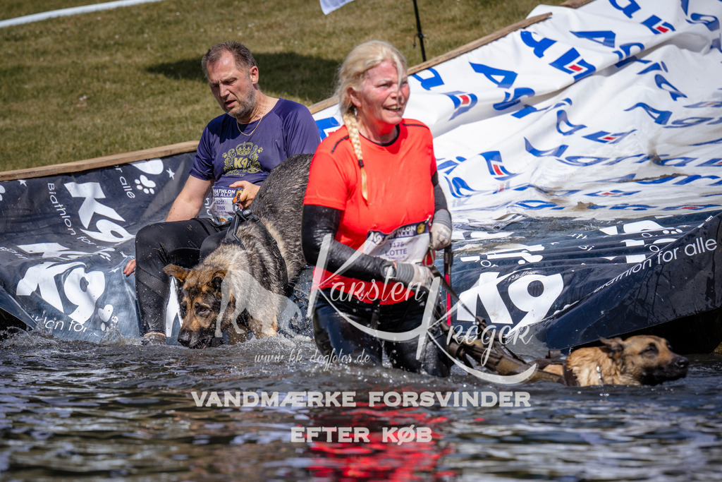 _ZZ936460940 | kk-dogfotos