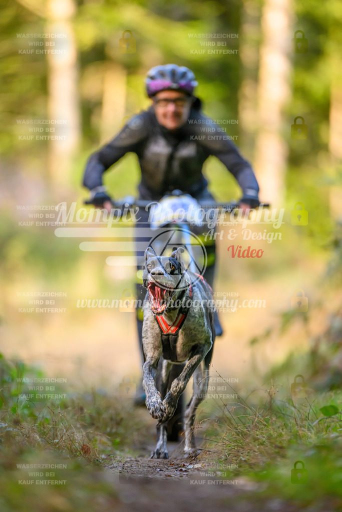 MompixPhotography_Yens2025_B3-55 | PayLife