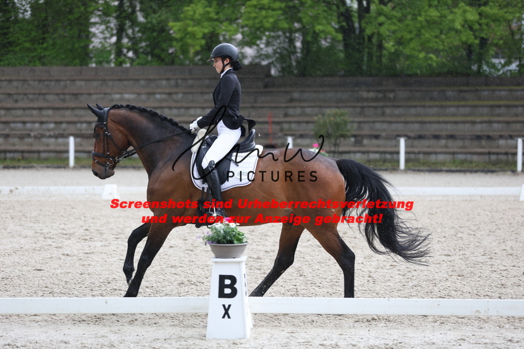 A40A8956 | lmwpictures - Realisiert mit Pictrs.com