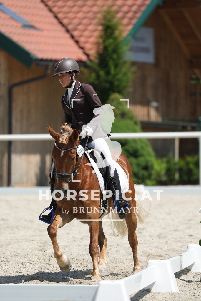 0P6A2063 | Willkommen bei Brunnmayr - Design & Fotografie – Ihrem Spezialisten für Reitturniere und Pferdeveranstaltungen in Oberösterreich, Salzburg und Bayern! Seit über 17 Jahren sind wir leidenschaftlich dabei.