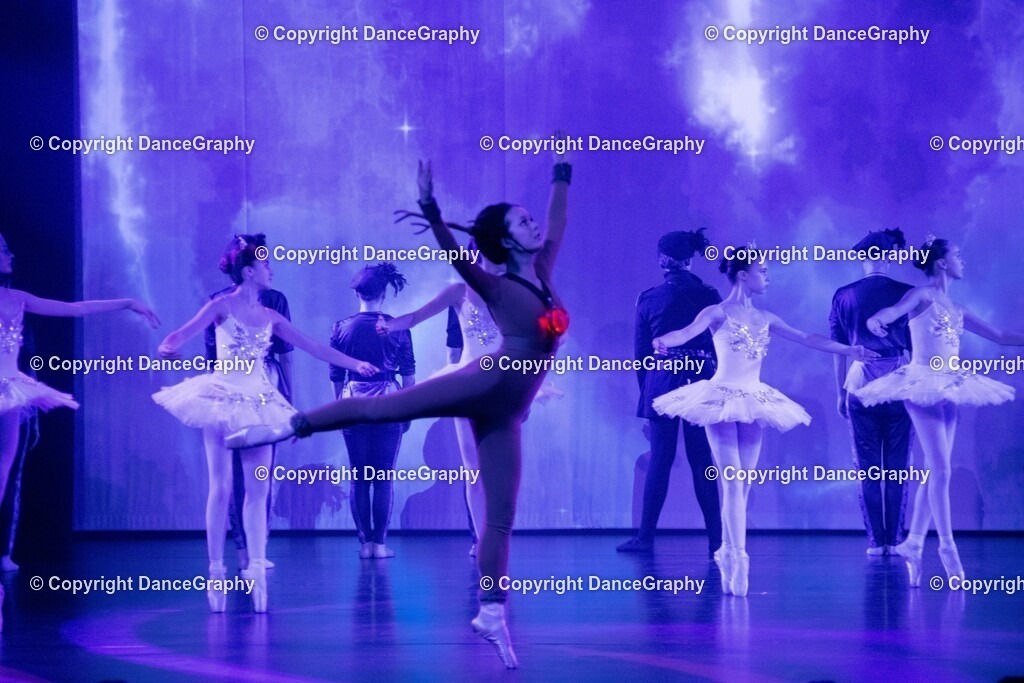 GPHY1752 | DanceGraphy - Realisiert mit Pictrs.com