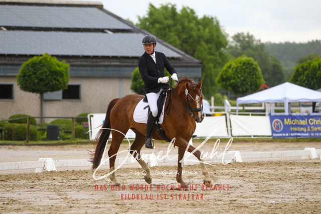 DKP40328 | Turniersportfotografie; Pferdefotografie; Dressurfotografie