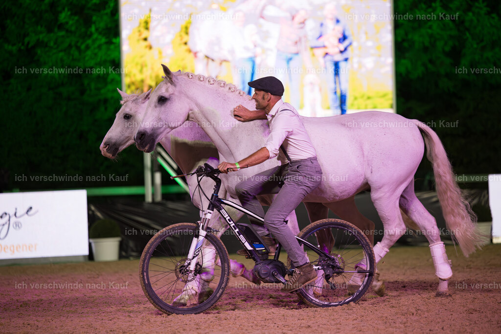 FHC2025 Show-28286 | working equitationturnier fotograf videograf stoibphotography marixx film working equitation deutschland reitsport turnierfotografie eventfotografie equestrian events