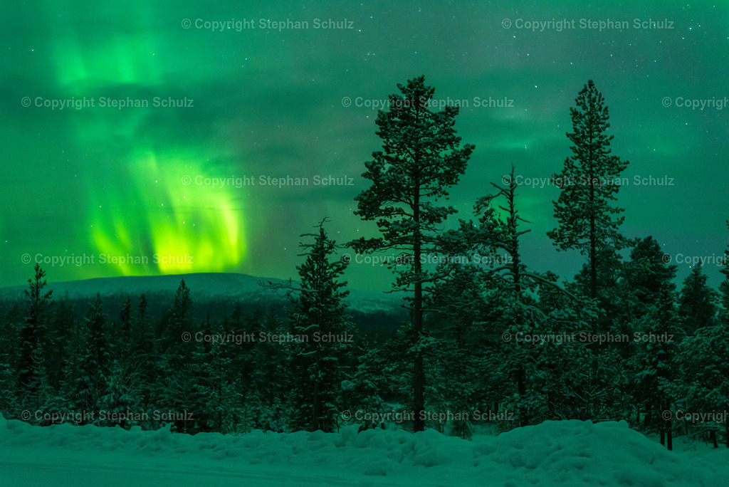 Polarlichter (Aurora Borealis) | Polarlichter im Pallas-Yllästunturi-Nationalpark, Lappland, Finnland.  - Realisiert mit Pictrs.com