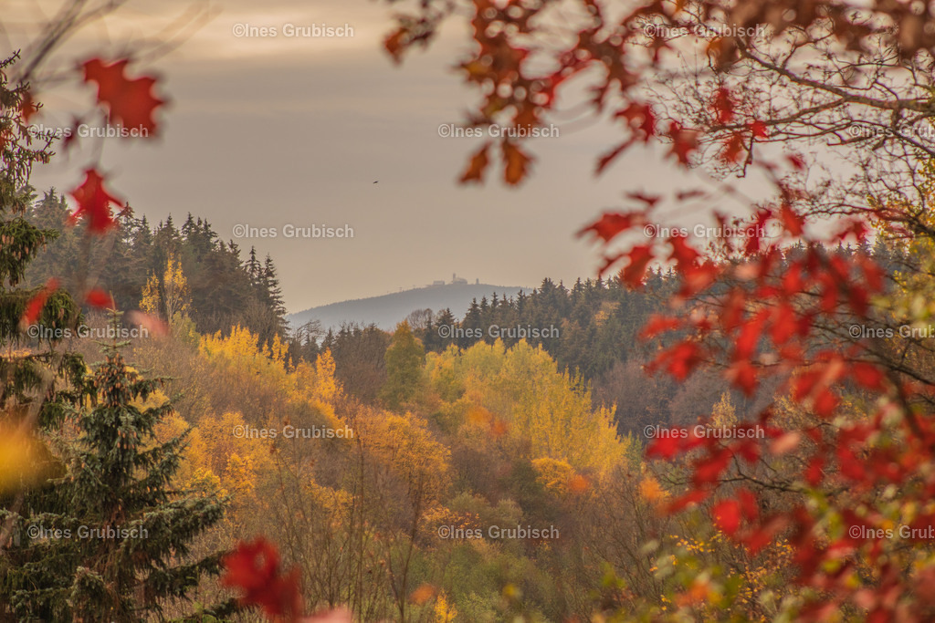 Blick zum Fichtelberg im Herbst | Lila Lubbenbomm - Artwork by Ines Grubisch - Realisiert mit Pictrs.com