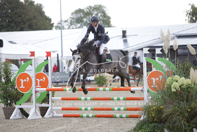 1J2A8299Marten Witt_ Copenhagen b_ Kn301_ Havekost | Foto- und Videografie für alles rund ums Pferd. Hochwertige Bilder und Videos vom Spring- und Dressurreiten, Voltigieren & mehr. Jetzt aktuelle Veranstaltungen und Preise im Shop ansehen. - Realisiert mit Pictrs.com