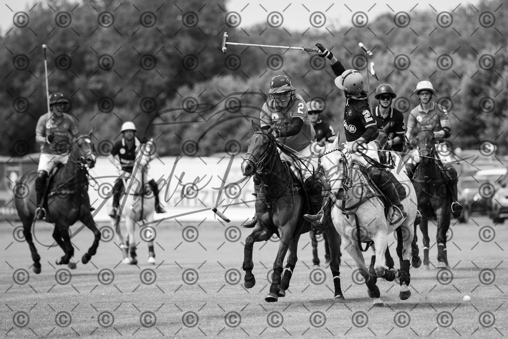 POL_3566-2 | andre_photographic