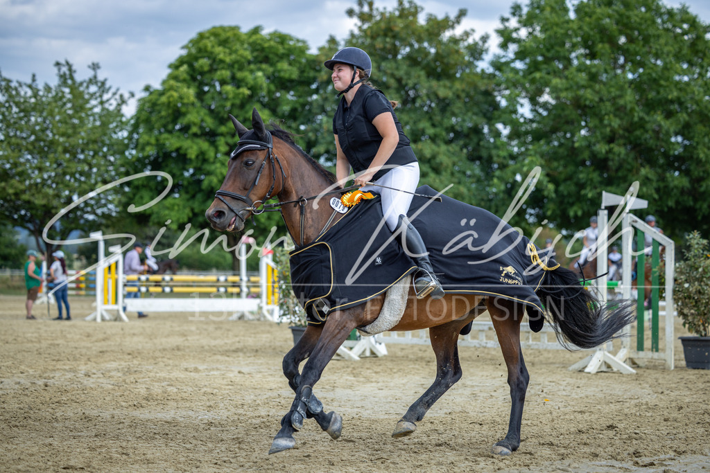 20260704-_3LI1972 | Tierfotografie Pferde, Hunde, Katzen, Haustiere.
Turnierfotografie Reitturniere, Reiten, Springreiten, Dressur in Hanau, dem Main-Kinzig-Kreis und dem Rhein-Main- Gebiet um Frankfurt