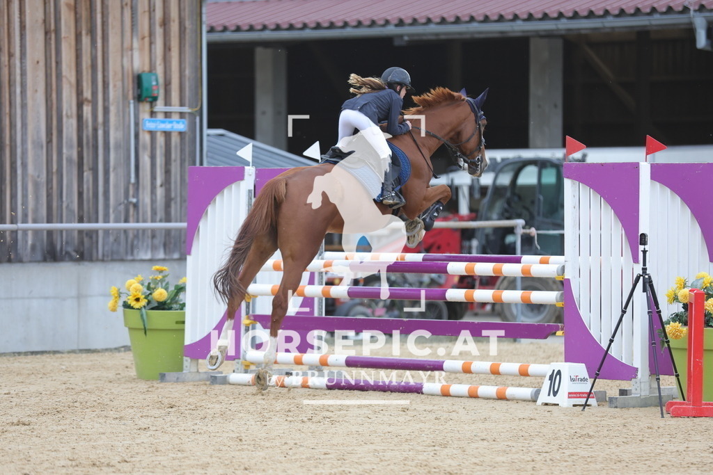 0P6A9986 | Willkommen bei Brunnmayr - Design & Fotografie – Ihrem Spezialisten für Reitturniere und Pferdeveranstaltungen in Oberösterreich, Salzburg und Bayern! Seit über 17 Jahren sind wir leidenschaftlich dabei.