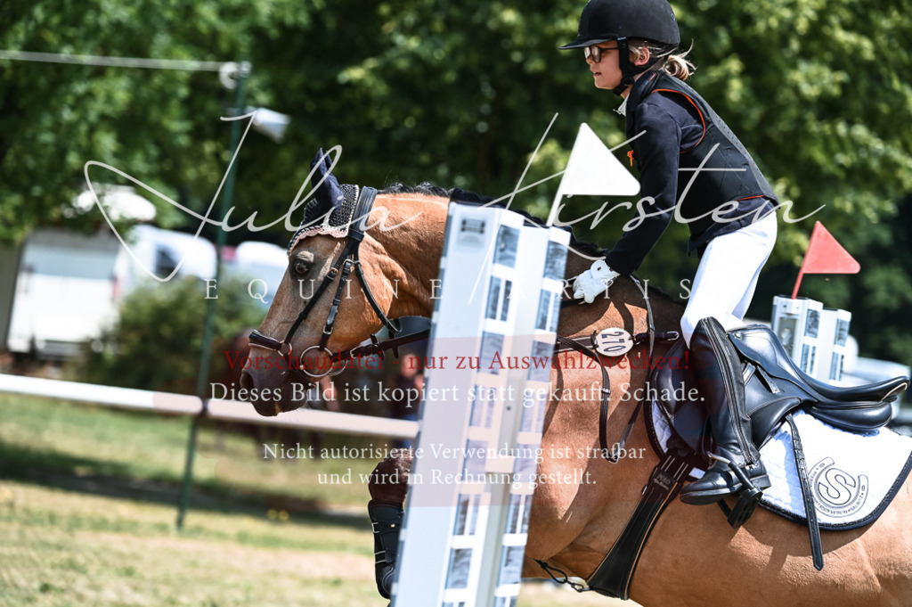 DSC_9723 | Pferde- und Turnierfotografie in Westsachsen. Pferdeportraits, Auftragszeichnungen und intuitive Kunst.