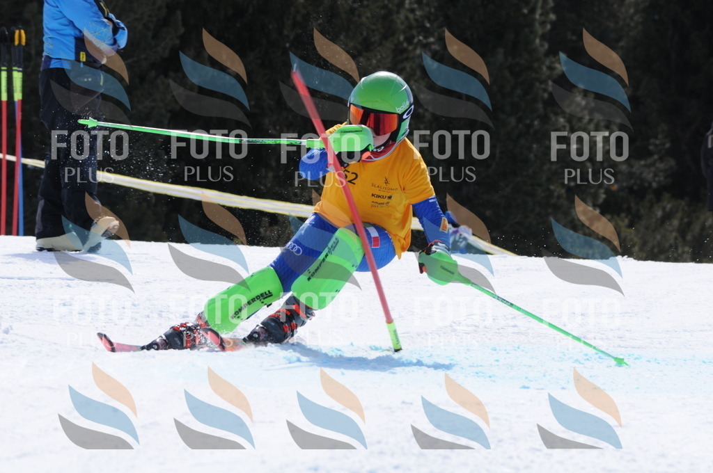 C9376 | holidayphoto