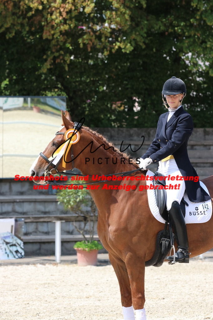 IMG_7608 | lmwpictures - Realisiert mit Pictrs.com