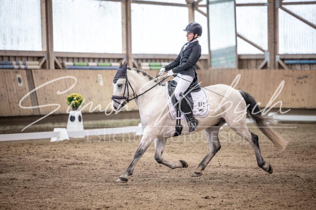 20251011-_3LI1952 | Tierfotografie Pferde, Hunde, Katzen, Haustiere.
Turnierfotografie Reitturniere, Reiten, Springreiten, Dressur in Hanau, dem Main-Kinzig-Kreis und dem Rhein-Main- Gebiet um Frankfurt