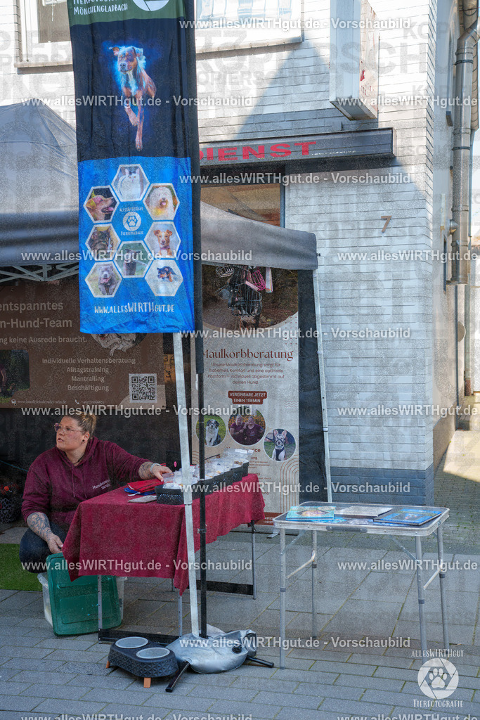 Pfötchenmarkt Nettetal-Lobberich 2026 - Nettetal-Tag - Daniel Wirth - www.allesWIRTHgut.de - @allesWIRTHgut_Tierfotografie 7R507597 | Professionelle Tierfotografie in Mönchengladbach von Daniel Wirth (allesWIRTHgut). Liebevolle & natürliche Bilder von Hunden & Katzen für unvergessliche Erinnerungen.
