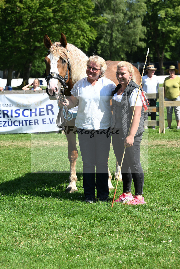 Kat-Nr. 61 Prestige v. Rivero_Schroeder_18251342 | hf-fotografie - Realizzato con Pictrs.com