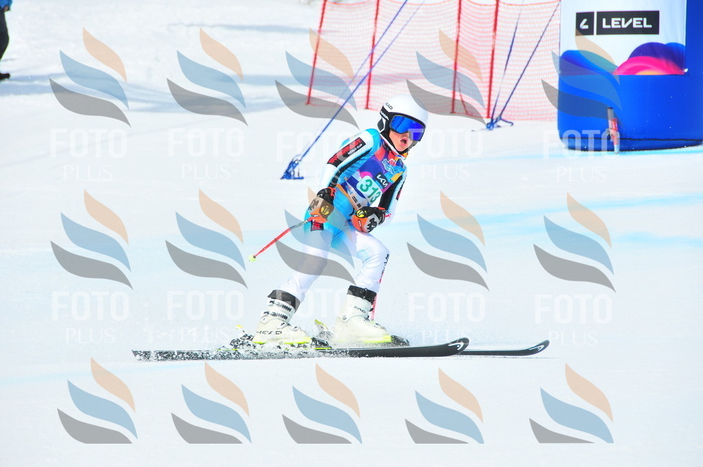 DSC_2893 | holidayphoto