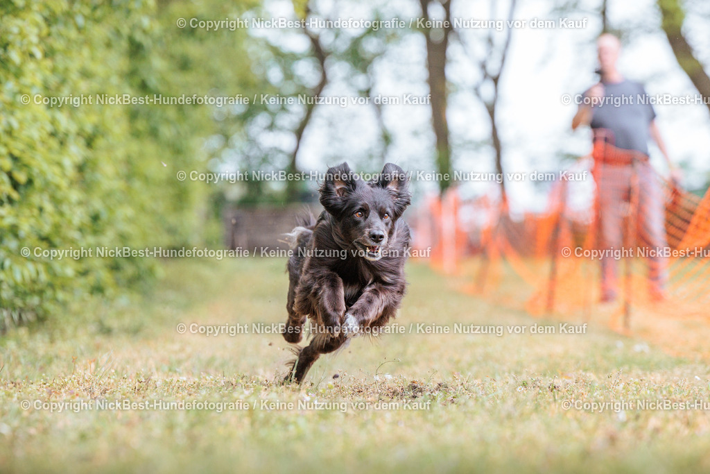 Sage Hunderennen Frühlingsfest-2026-Nickbest-Hundefotografie-0742 | Dein Hund! Dein Moment! Deine Erinnerungen! Hundefotografie in Bremen Blumenthal. Ich fange die besonderen Momente deines Vierbeiners ein – ob Indoor mit Blitzanlage oder in der freien Natur. Sicher dir dein Moment und dein Termin für eure Erinnerungen.
