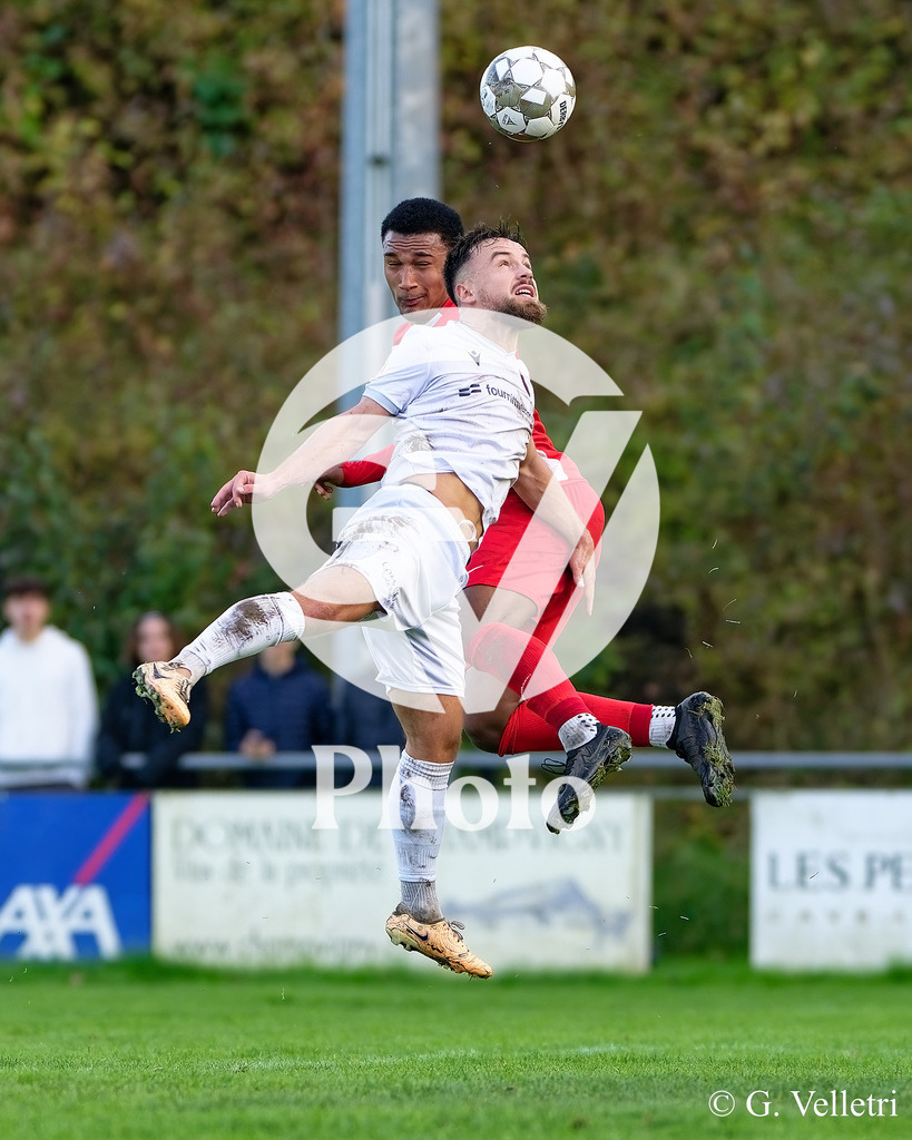 DZ8_9394 | Velletri Photo