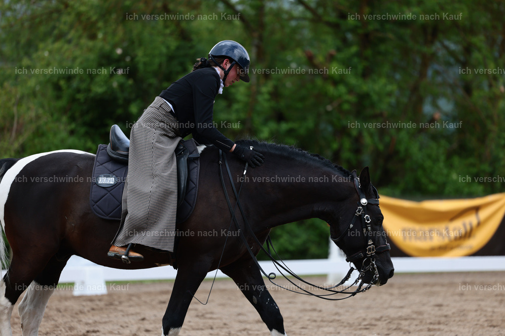 KlasseL_Stoibphotography_CAM21194.JPG | working equitationturnier fotograf videograf stoibphotography marixx film working equitation deutschland reitsport turnierfotografie eventfotografie equestrian events