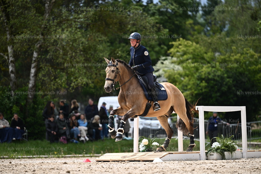 PI26_SP_Sara_Landvogt_226_5341.JPG | working equitationturnier fotograf videograf stoibphotography marixx film working equitation deutschland reitsport turnierfotografie eventfotografie equestrian events
