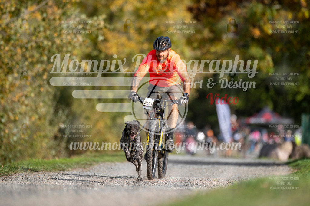 TSB_2023_E2_Bike-12 | PayLife