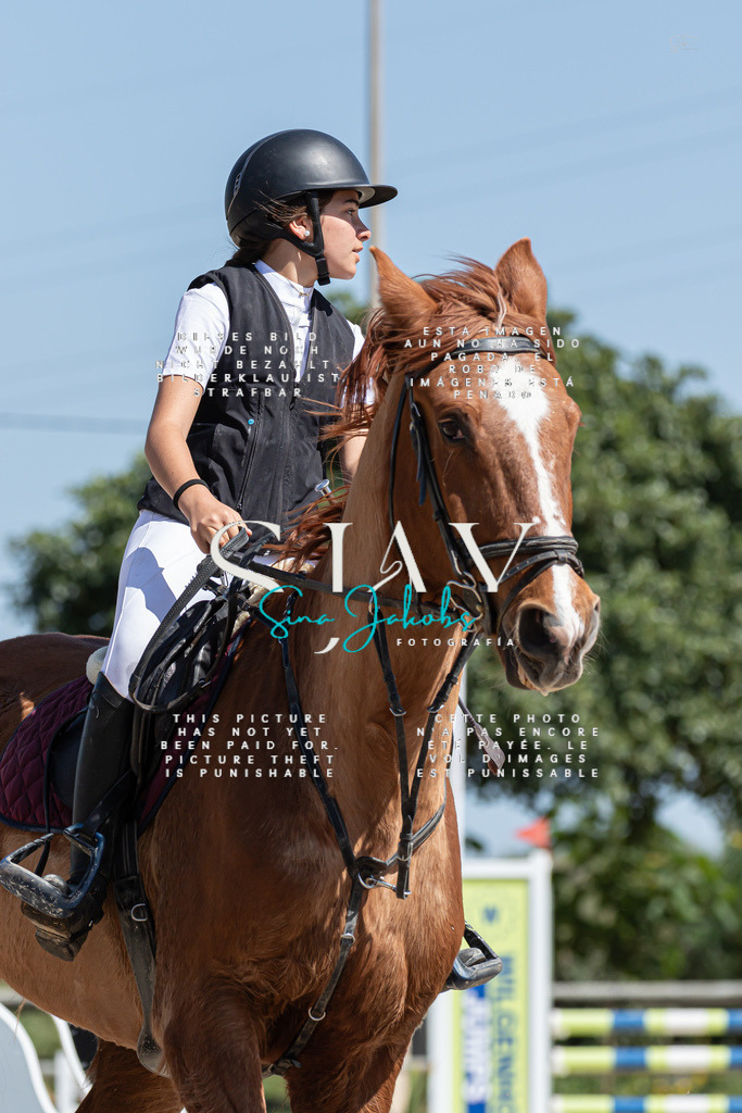 IMG_0654 | s-jay-photography - Realisiert mit Pictrs.com