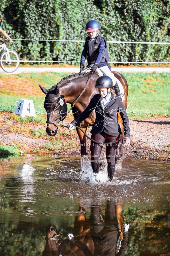 DSC_0251 | Pferde- und Turnierfotografie in Westsachsen. Pferdeportraits, Auftragszeichnungen und intuitive Kunst.