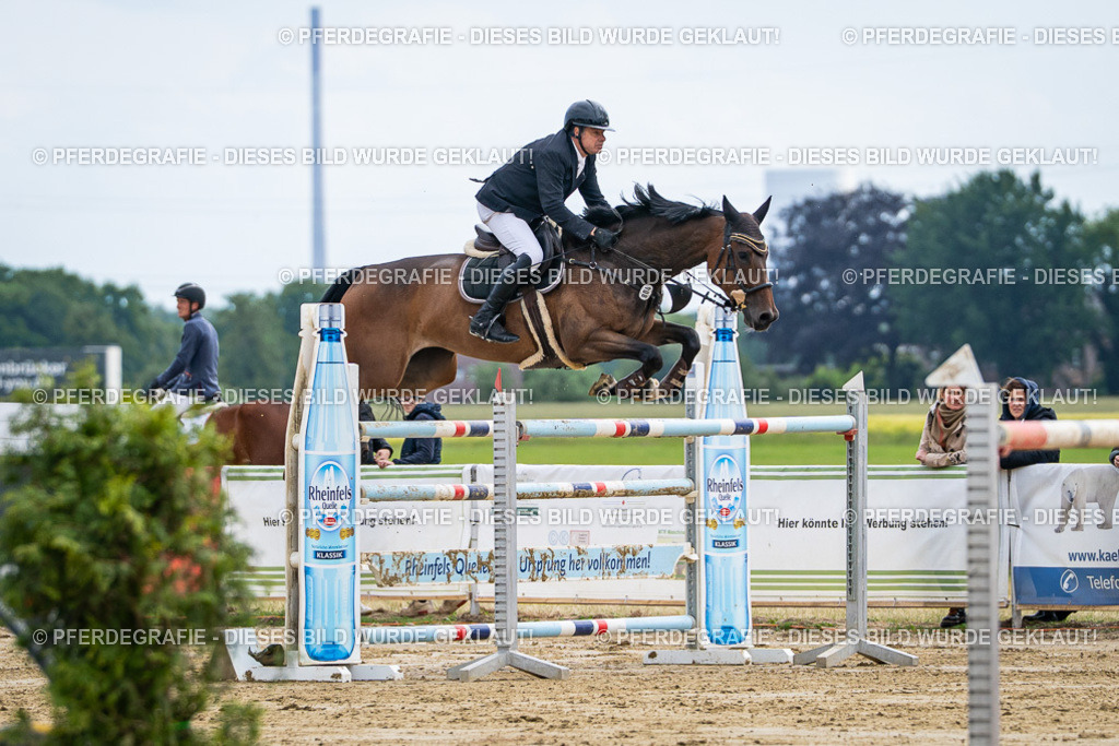 DSC06899 | Pferdegrafie