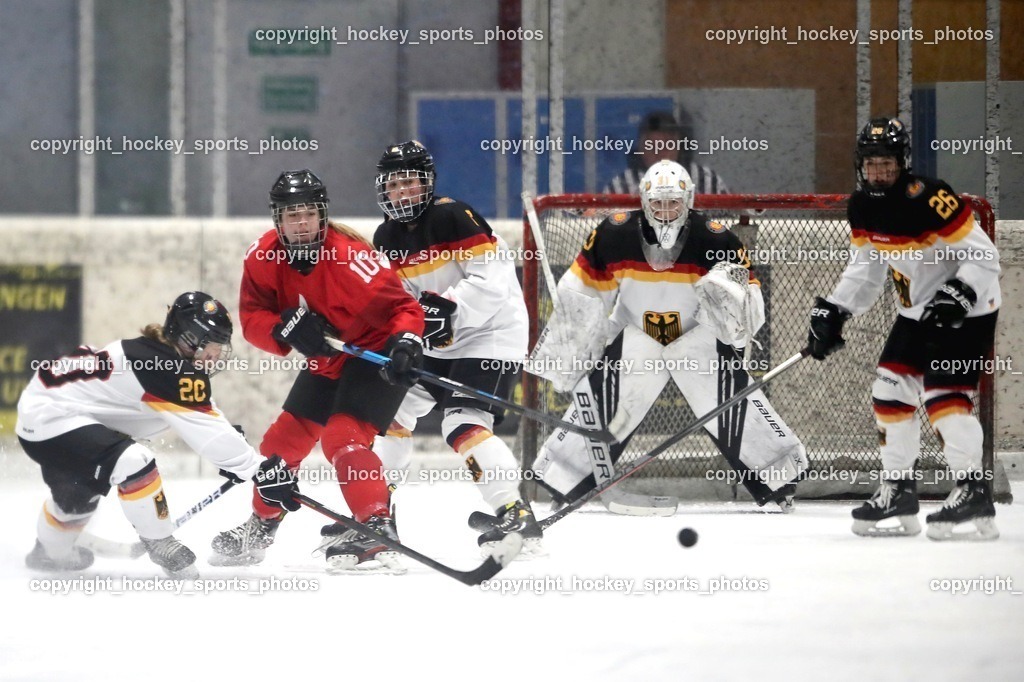 IMG_0821 | hockey sports photos, Pressefotos, Sportfotos, hockey247, win 2day icehockeyleague, Handball Austria, Floorball Austria, ÖVV, Kärntner Eishockeyverband, KEHV, KFV, Kärntner Fussballverband, Österreichischer Volleyballverband, Alps Hockey League, ÖFB, 