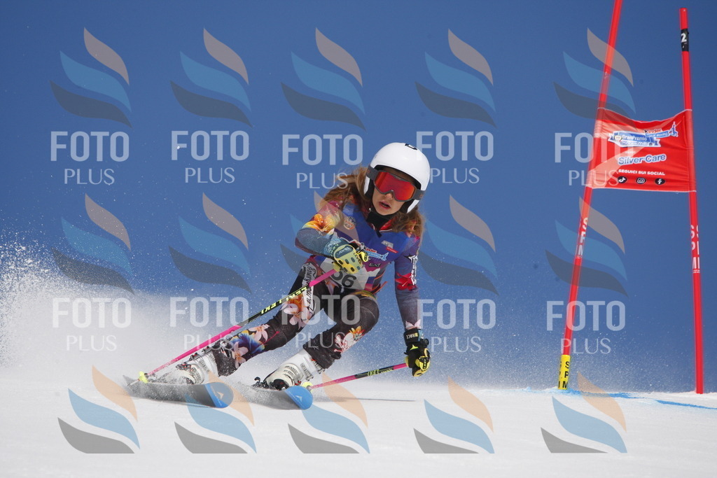 _W1G0817 | holidayphoto