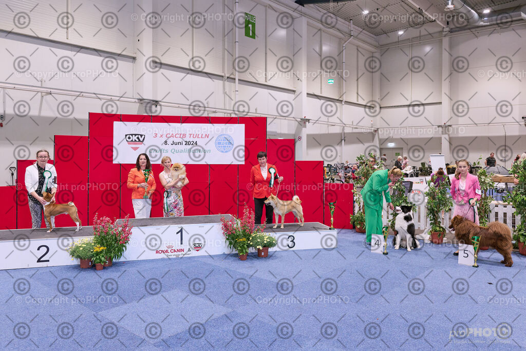 202406_ÖKV-IHA-Tulln24_NZ9_8698 | proPHOTO - Realisiert mit Pictrs.com